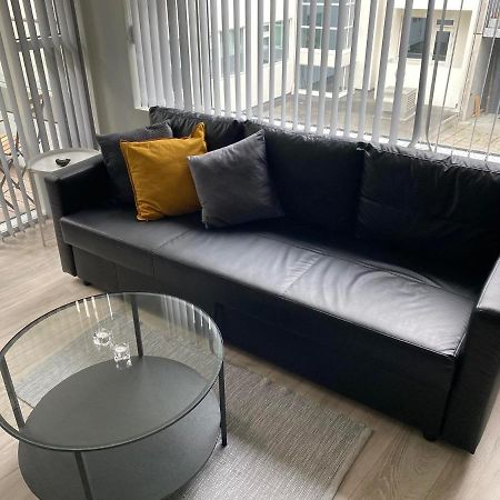 Laugavegur Apartment レイキャヴィーク エクステリア 写真