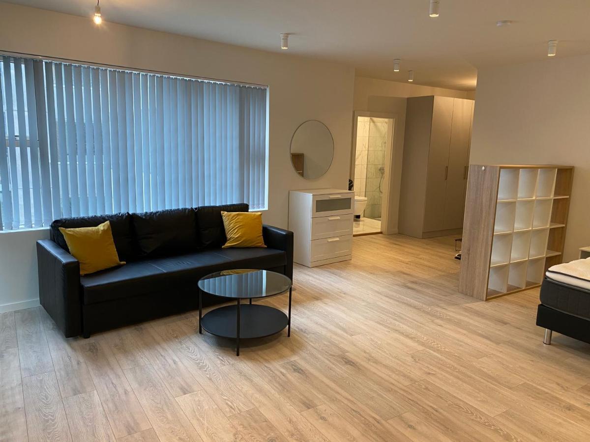 Laugavegur Apartment レイキャヴィーク エクステリア 写真