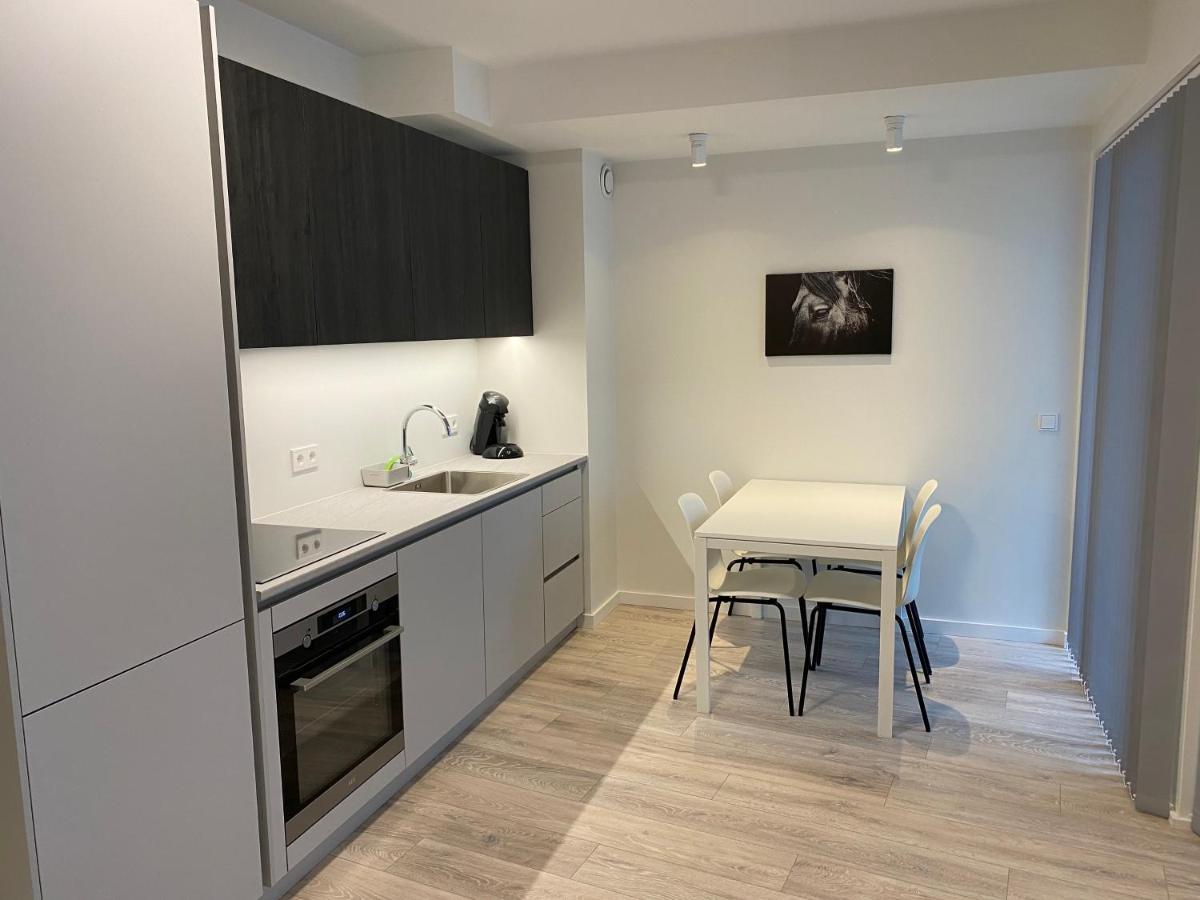 Laugavegur Apartment レイキャヴィーク エクステリア 写真